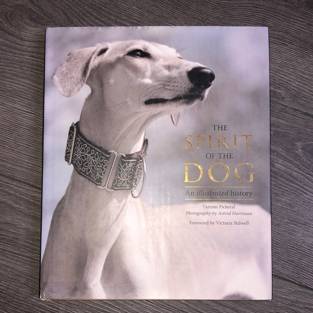 The SPIRIT Of The DOG An illustration history year 2012